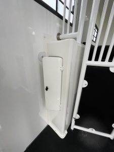 Foto 2021-01-27 11 38 24
