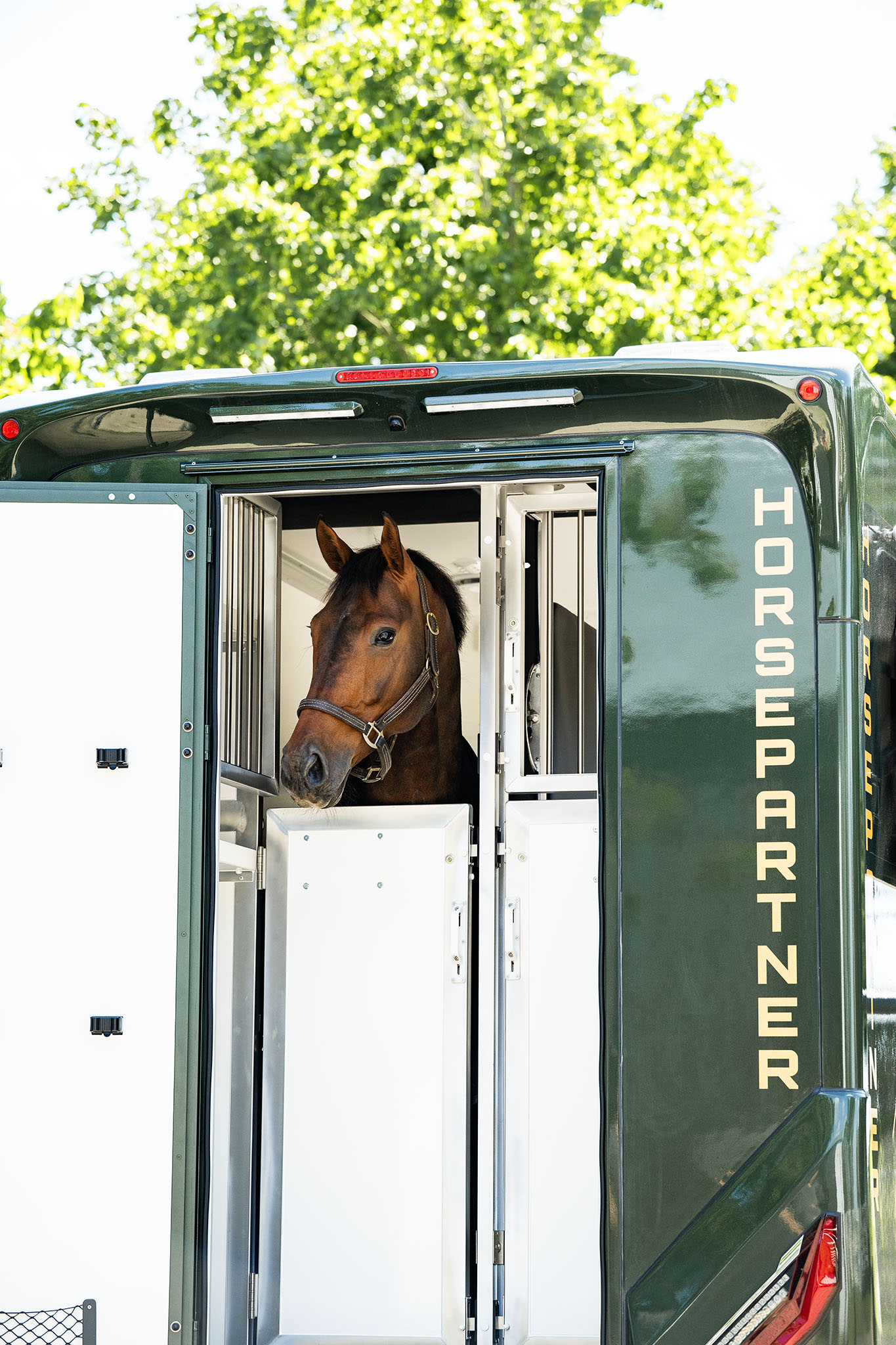Häst i Horsepartners stuteriinredning